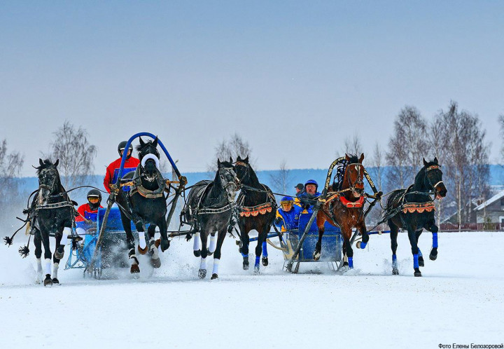 Фото: vk.com/culturavmr