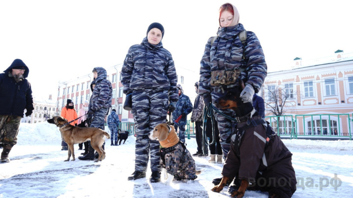 Фото: Вологда.РФ