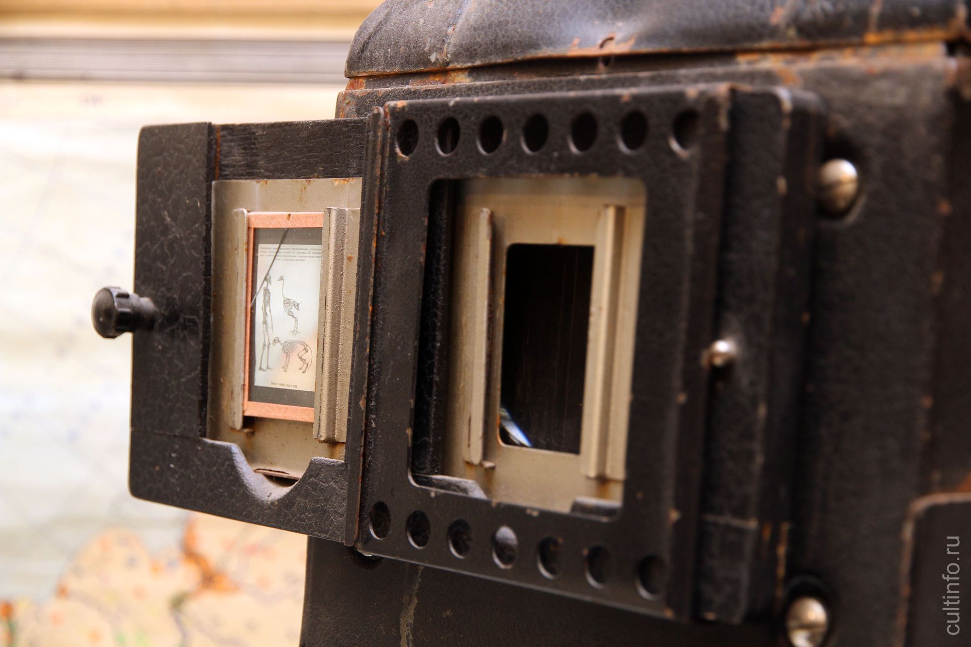 Учебные фильмы