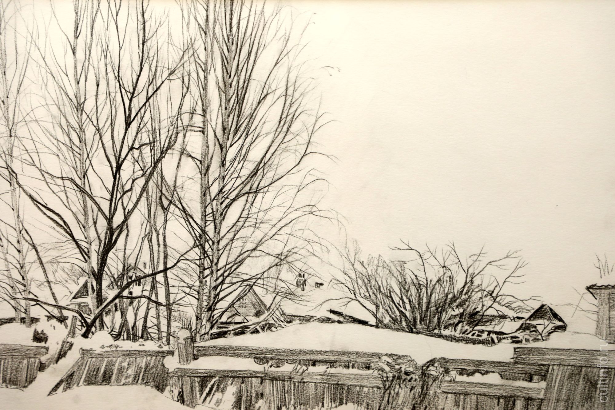 Татьяна Страхова. В декабре. 2010