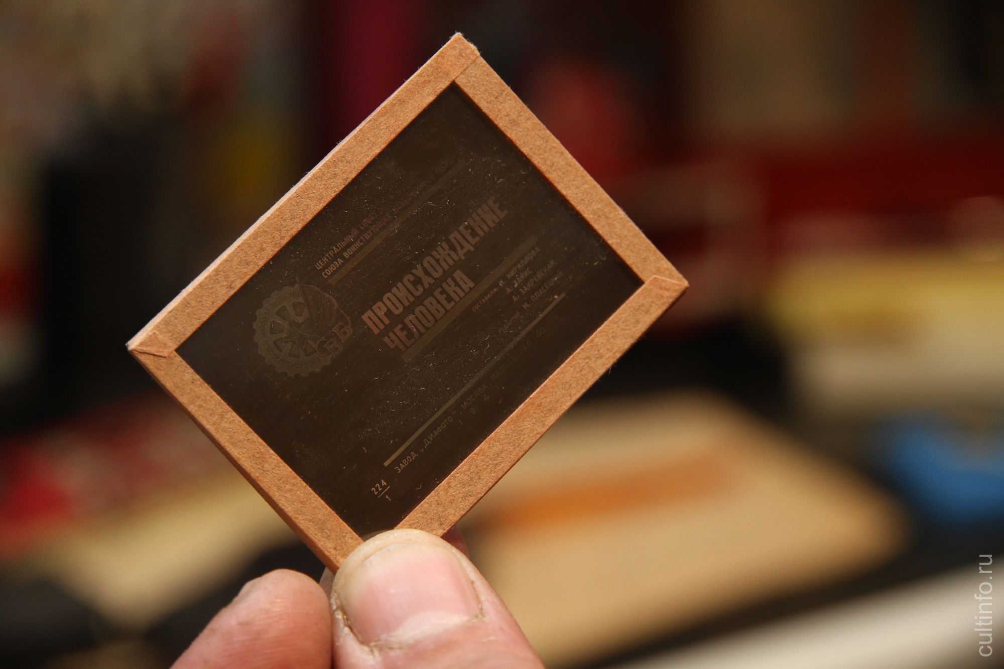 Учебные фильмы