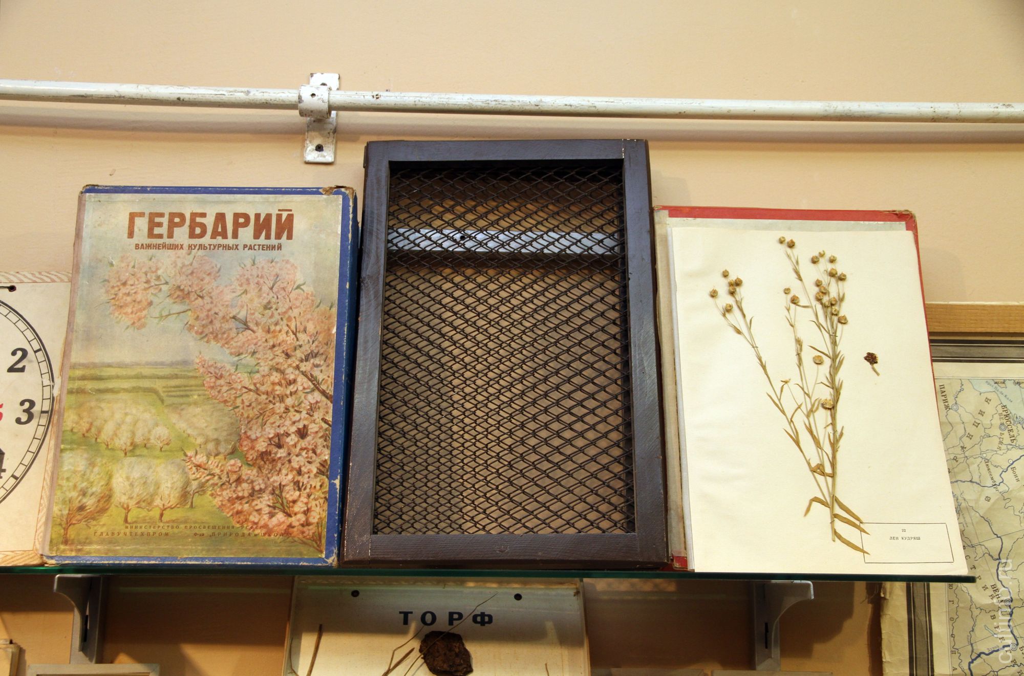 Набор для создания гербария заводского производства