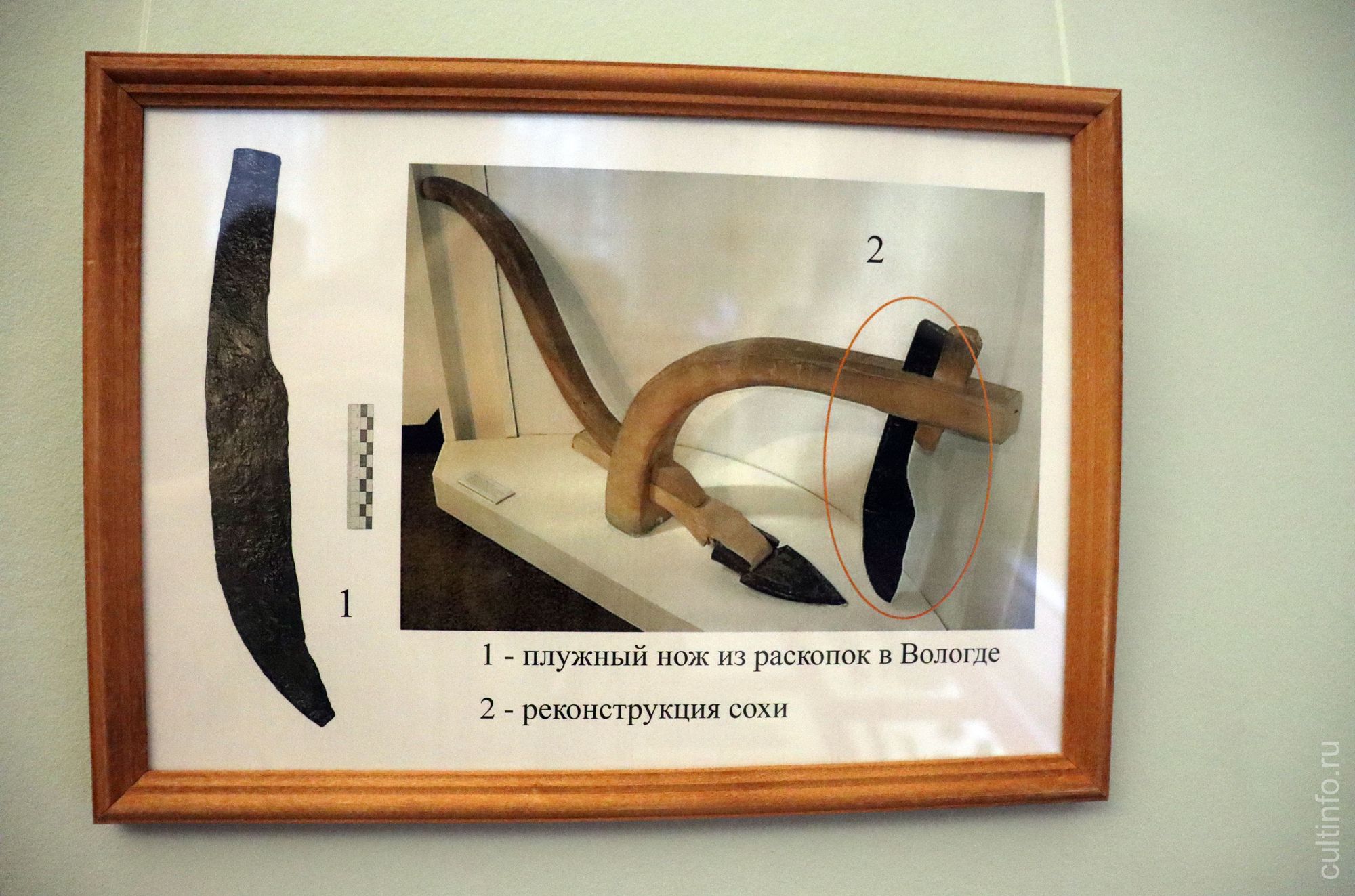 Выставка «Археологические раскопки на Вологодском городище»