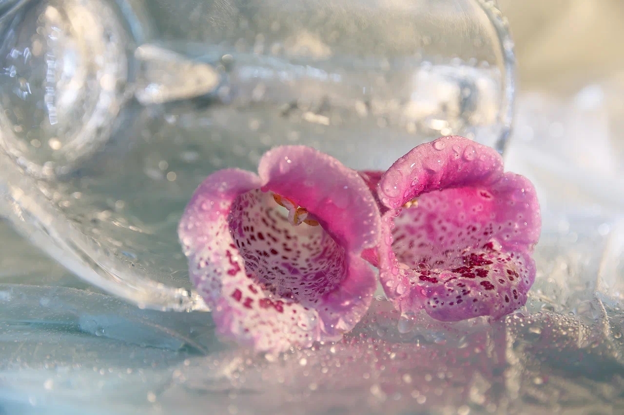 Фото Натальи Кузнецовой