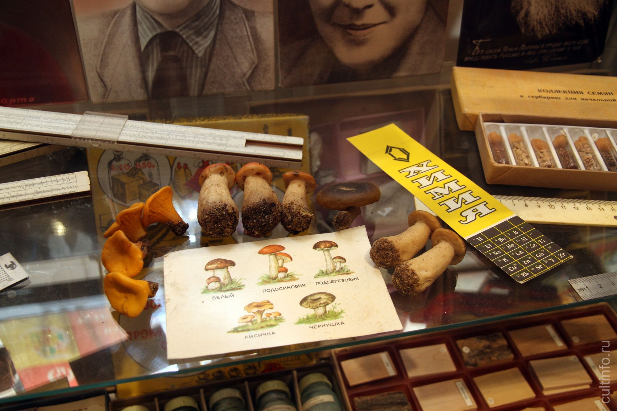 Наглядное пособие