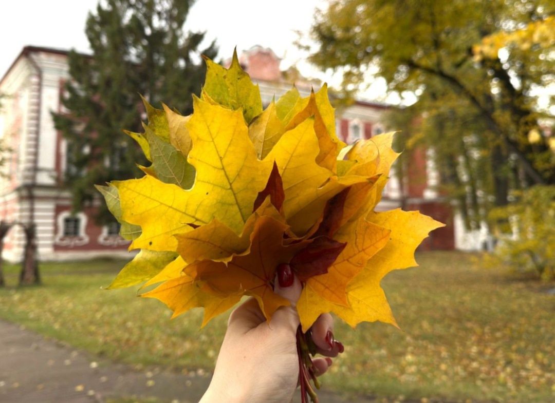 Вологодский музей ждет на экскурсии выходного дня. Фото музея
